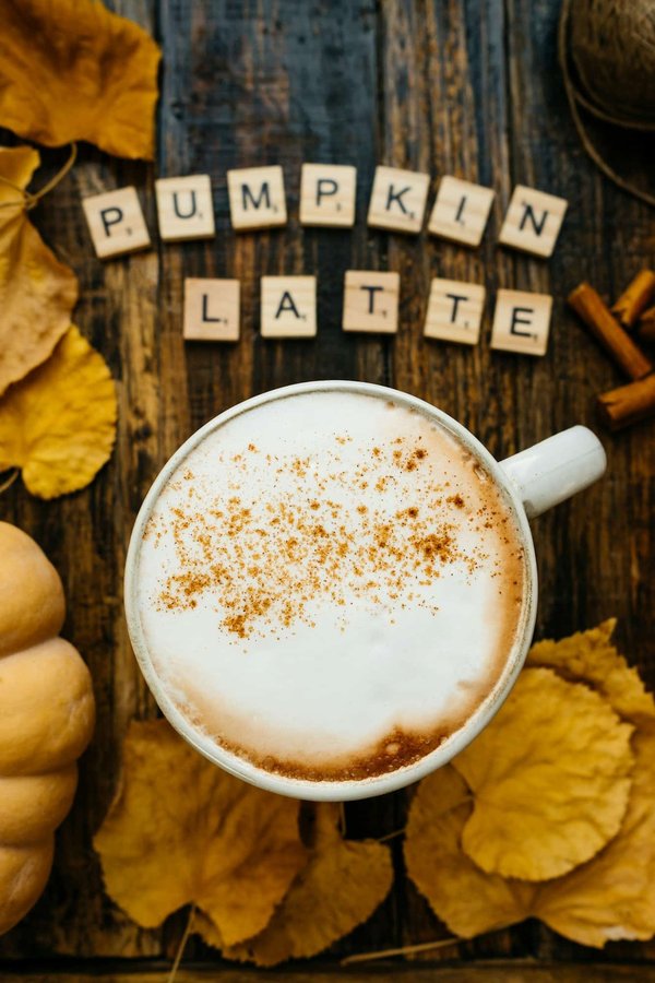 Wie nutzt man vertikale Gärten, um eine private Oase auf dem Stadtbalkon zu kreieren?